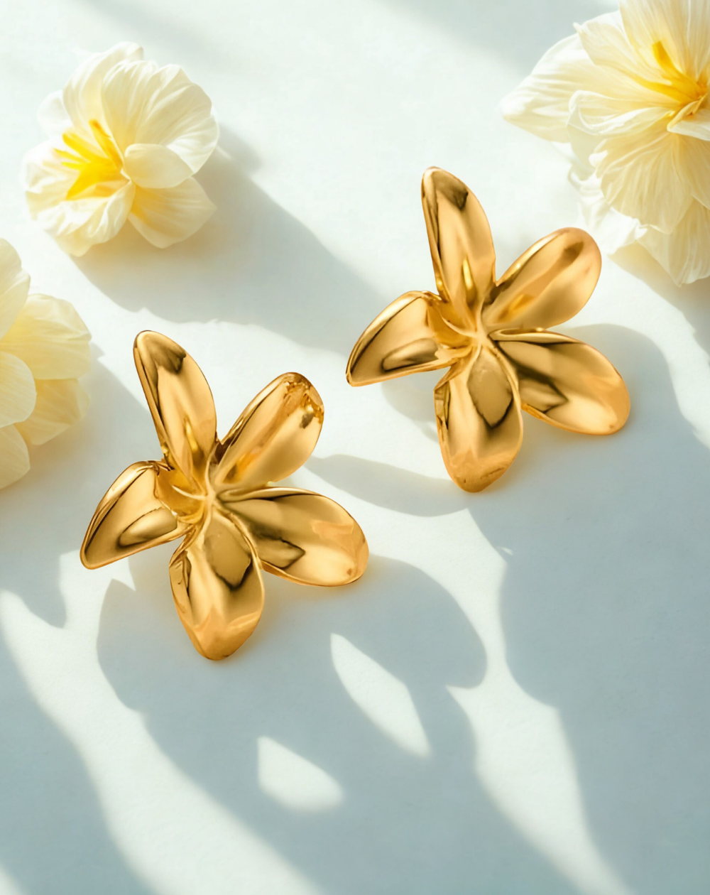 Shop Secondary Image Shop Secondary Image